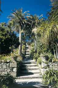 Tresco Abbey Gardens