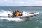 Corporate rib charter